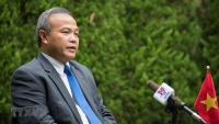 Đại sứ Vũ Hồng Nam: Chuyến thăm của Thủ tướng Kishida Fumio khẳng định vị thế đặc biệt của Việt Nam với Nhật Bản