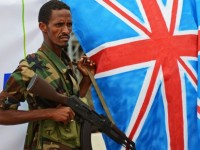 hoi nghi thuong dinh eu khi van bai da ngua