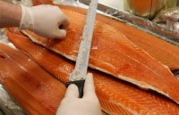 gau xam canada gay tro xuong du sa p ngu dong gay ba o do ng