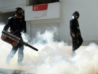 singapore hai thang sau cuoc chien chong virus zika