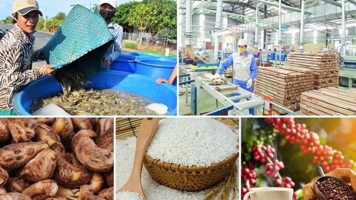 xuat khau ngay 18243 30 lo sau rieng xuat trung quoc nhiem cadimi tu dau hoa ky mua nhieu nhat nong lam thuy san viet