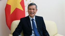 Đại sứ quán Việt Nam tại Đức: Quyết liệt, kiên trì, bền bỉ tiếp xúc trong ngoại giao vaccine