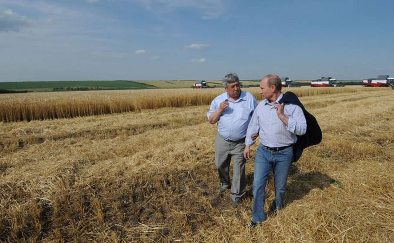 Tổng thống Nga Putin nước này vẫn duy trì vị trí cao về sản lượng ngũ cốc và các loại cây trồng khác bất chấp đại dịch Covid-19. (Nguồn: Gis)