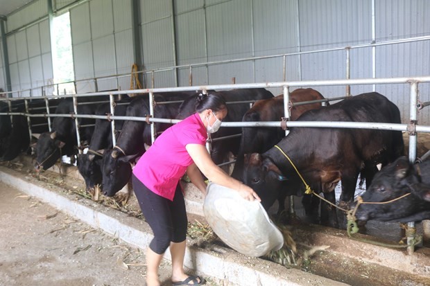 Nỗ lực hướng tới 'một Việt Nam không còn đói nghèo'