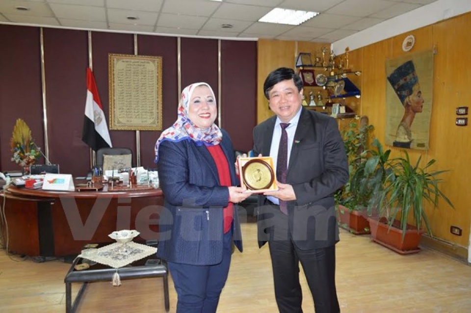 viet nam va ai cap thuc day hop tac trong linh vuc phat thanh