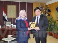 Việt Nam và Ai Cập thúc đẩy hợp tác trong lĩnh vực phát thanh