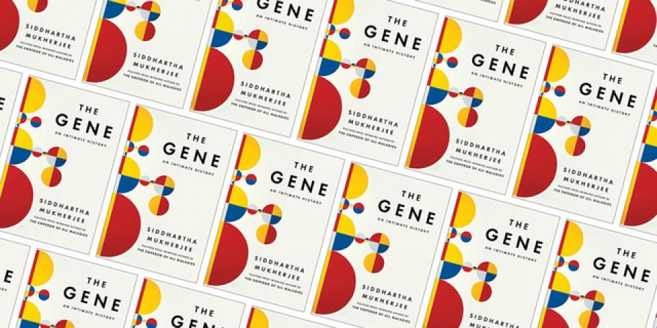 bill gates bat mi 5 cuon sach ong yeu thich nhat trong nam