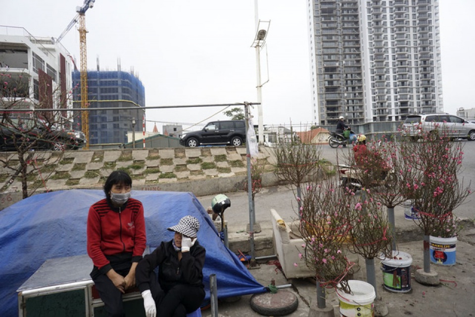 khong khi tet den som tren vuon dao nhat tan