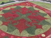 Mexico tạo tấm thảm hoa lớn nhất thế giới