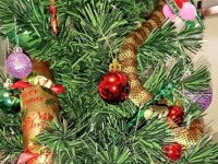 Đồ trang trí cây thông Noel là... rắn độc