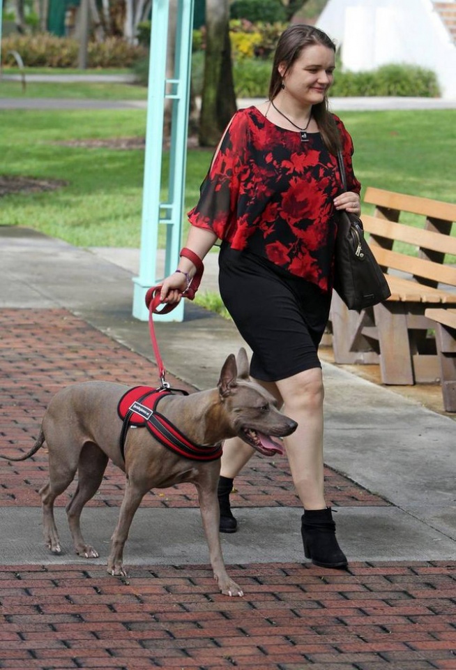 bi dong kinh van no luc hoc lay bang cu nhan