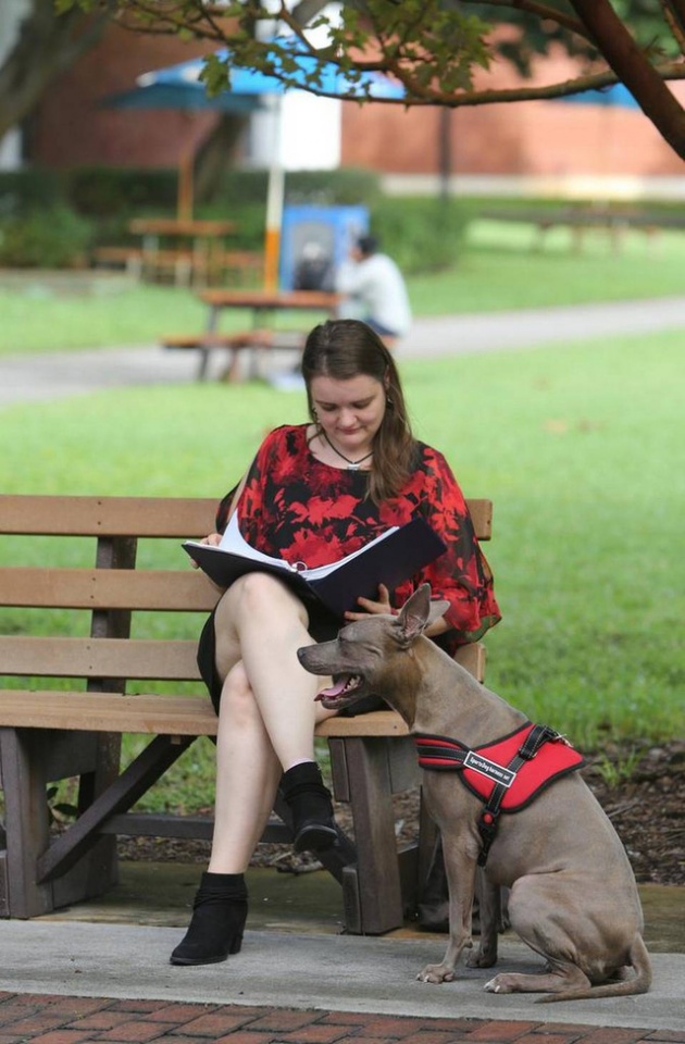 bi dong kinh van no luc hoc lay bang cu nhan