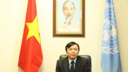 Đại sứ Việt Nam tại LHQ: 'Thành tựu chống dịch Covid-19 khiến các nước ủng hộ nghị quyết do Việt Nam đề xuất'