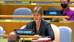 Đại sứ Anh tại Liên hợp quốc: Việt Nam đóng góp quan trọng vào hòa bình và an ninh thế giới