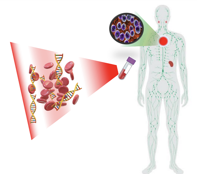 Phương pháp xét nghiệm mới xác định phản ứng vaccine trước khi hình thành kháng thể
