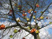 chiem nguong nhung ngoi nha doc dao nhat the gioi