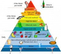 an chat beo giup giam can hieu qua