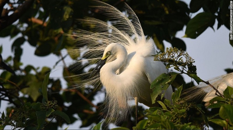 nhung diem den hap dan nhat chau a