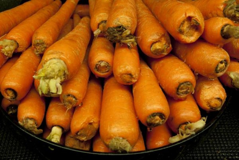 tai sao ca rot lai co mau cam