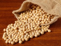 an cac loai hat de giam viem