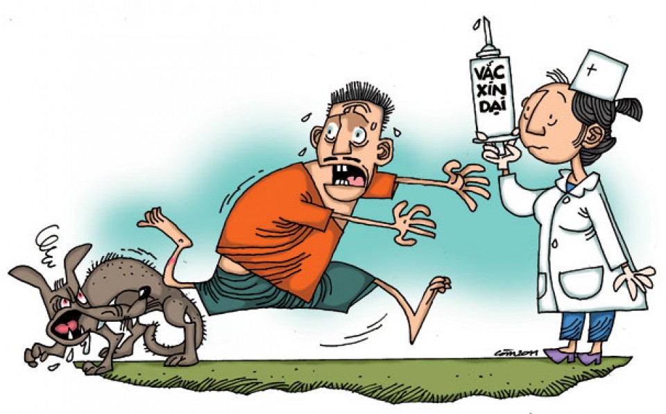 tang cuong phong chong benh dai trong mua he