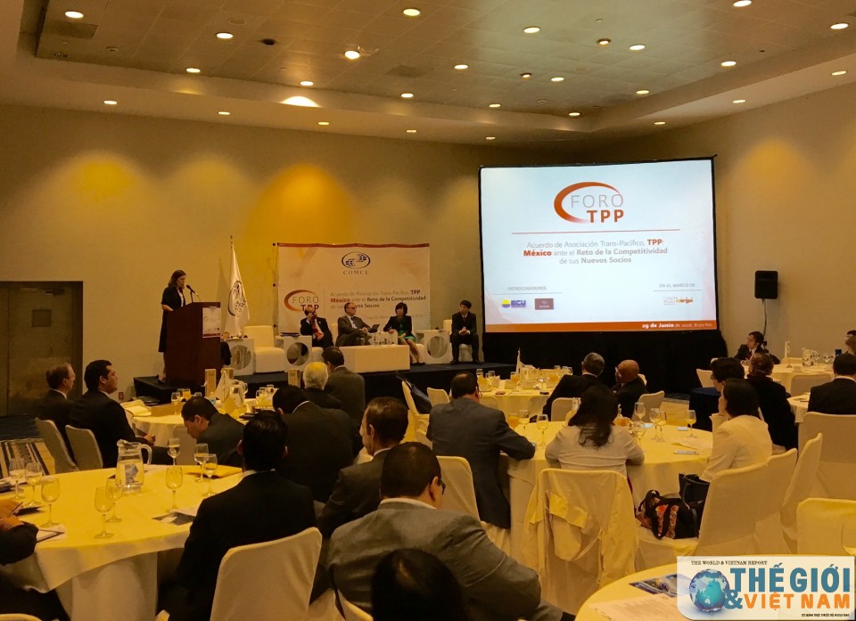 viet nam tham du dien dan co hoi va thach thuc tpp