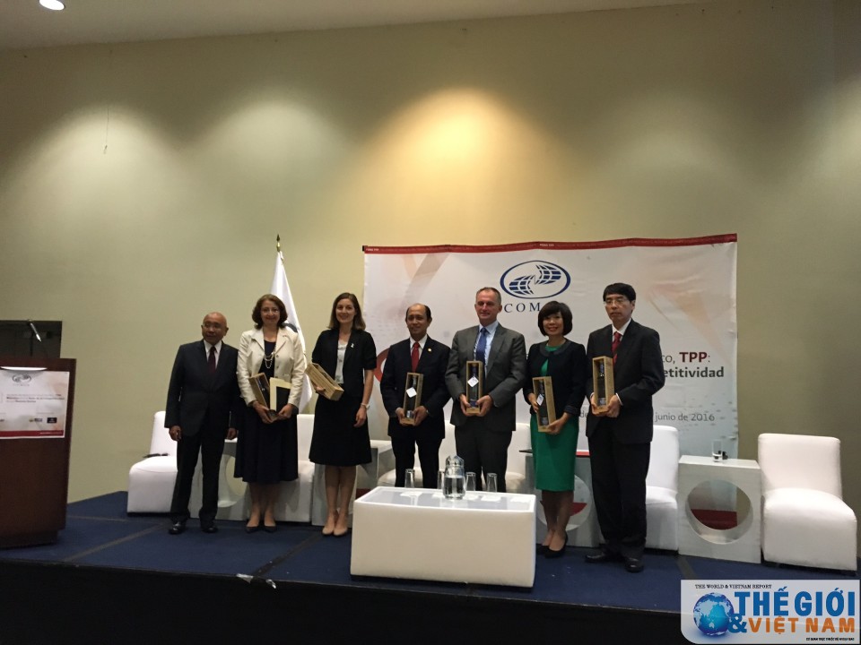 viet nam tham du dien dan co hoi va thach thuc tpp