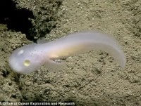 nhung vet lun sau bi an trong thung lung