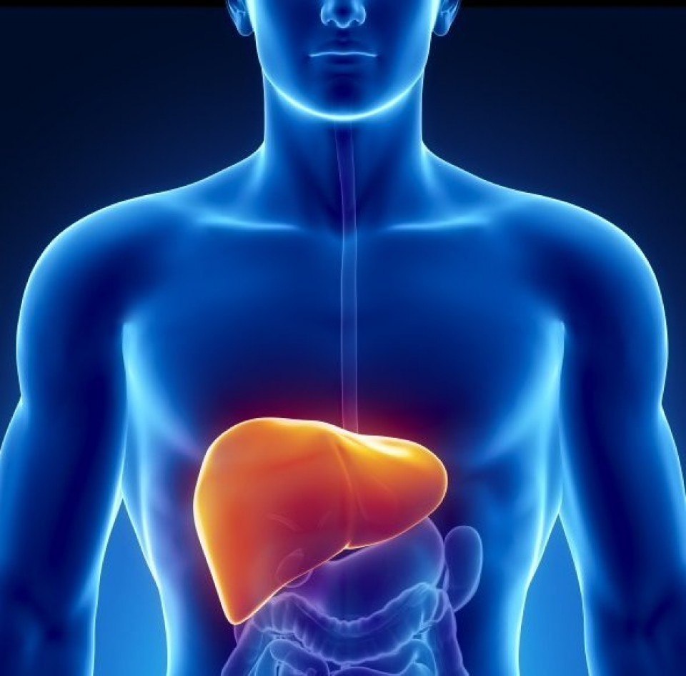 viem gan ke giet nguoi tham lang cua thoi dai moi