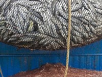 fao gia luong thuc the gioi tiep tuc tang