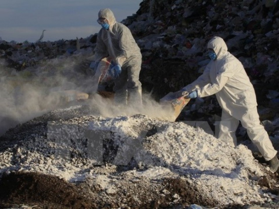 canada dich cum gia cam bung phat