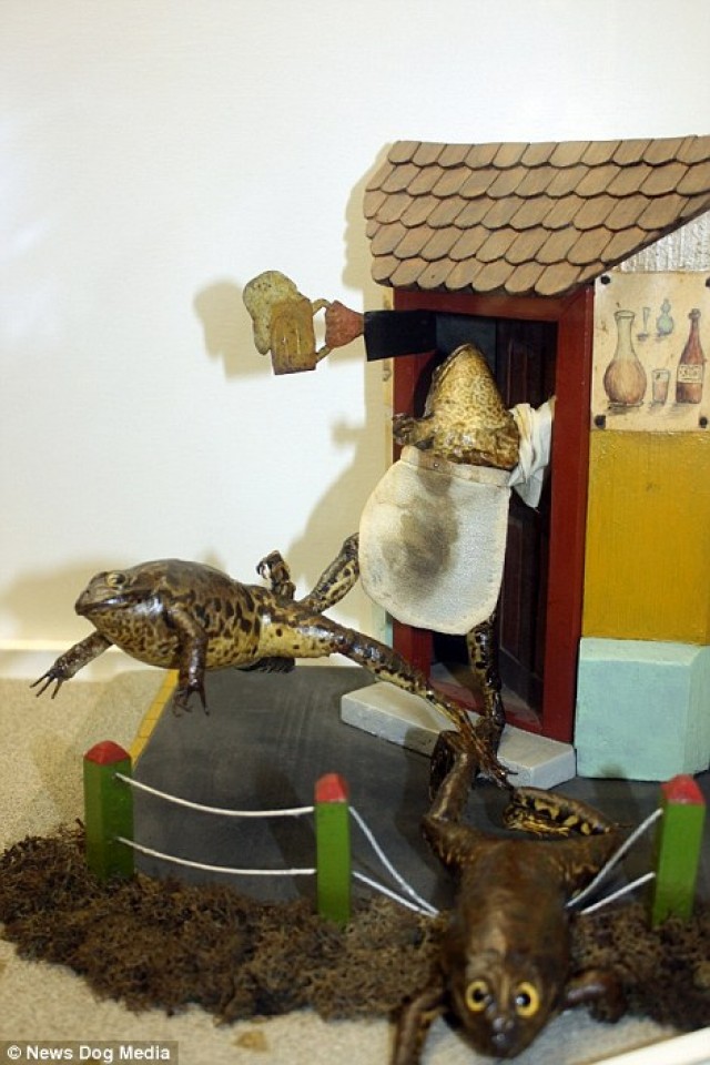 doc dao bao tang ech tai croatia