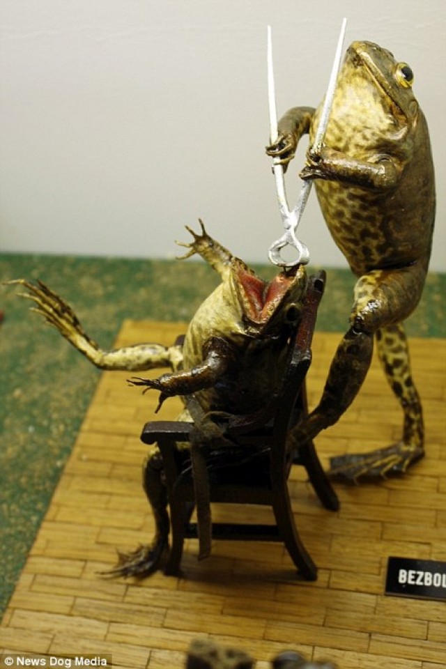 doc dao bao tang ech tai croatia