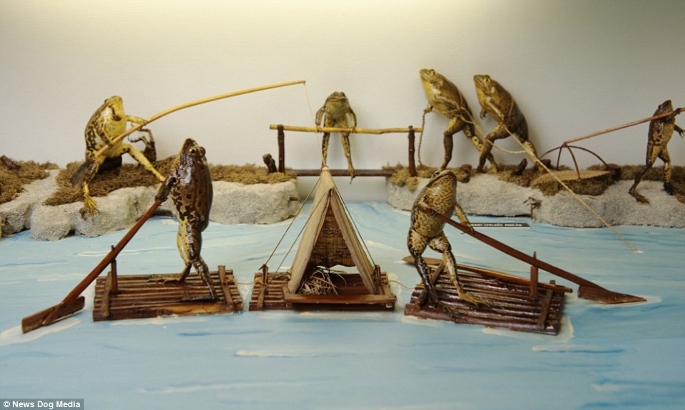 doc dao bao tang ech tai croatia