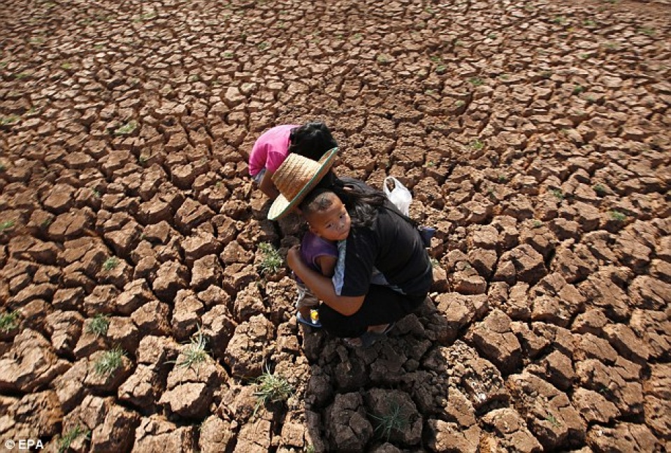 2016 nam nong ky luc nguy co xung dot gia tang