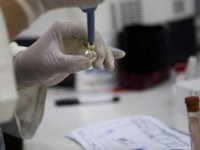 haiti co truong hop tre so sinh dau tien nhie m virus zika