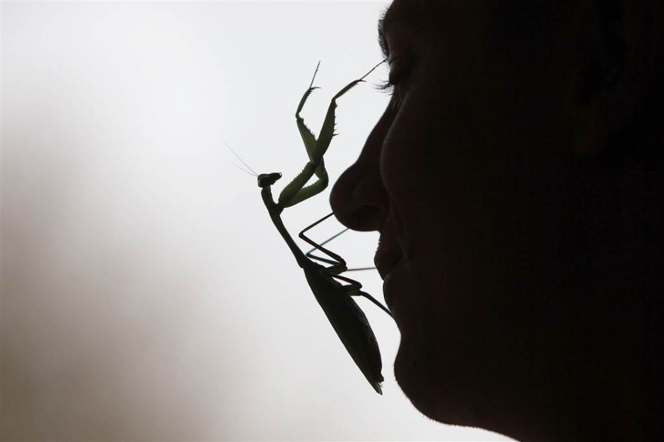 su kien trong tuan qua anh 1 71