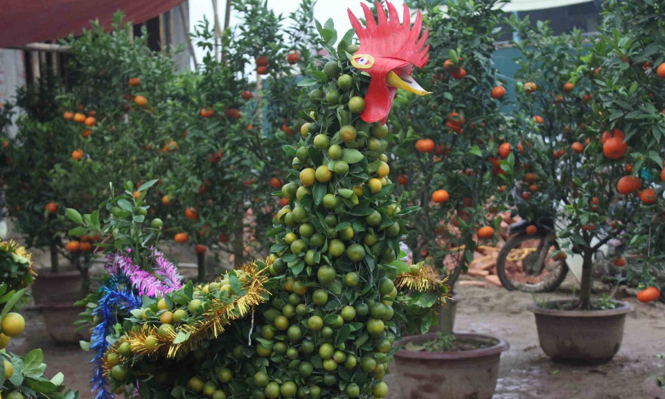 san pham doc la tet dinh dau 2017