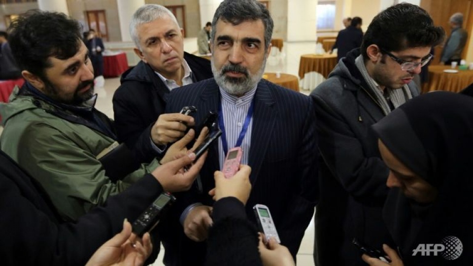 iran nga xay dung lo trinh hop tac san xuat nhien lieu hat nhan