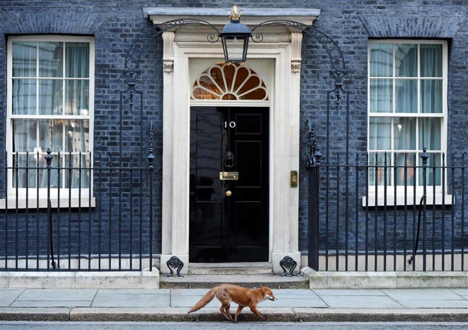 su kien trong tuan qua anh 13 201