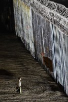 my tan cong is tai mien dong syria 42 nguoi thiet mang