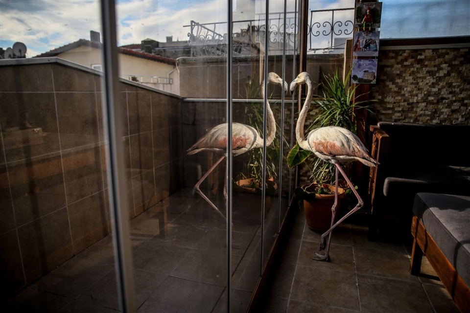 su kien trong tuan qua anh 13 201 khi nha trang tiep khach bang do an nhanh