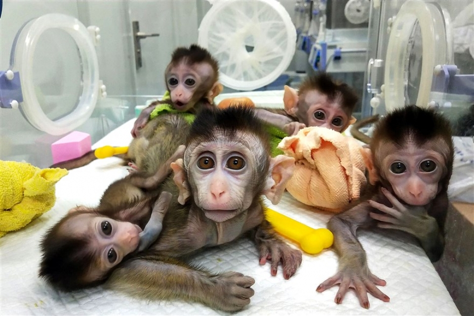 su kien trong tuan qua anh 19 261 nhan ban khi va new york bi dong bang