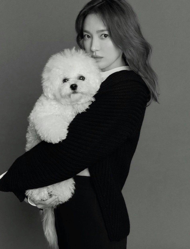 Fan điên đảo với ảnh thời nặng 70kg của 'Nữ hoàng mặt mộc' Song Hye Kyo