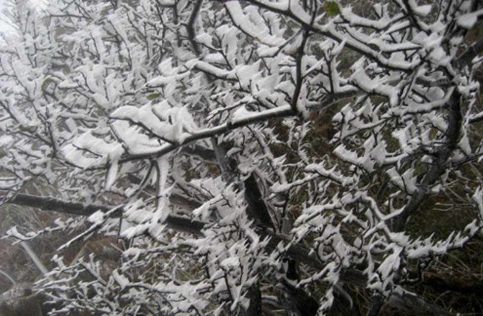 khong khi lanh tang cuong xuong mien bac co the xuat hien bang gia