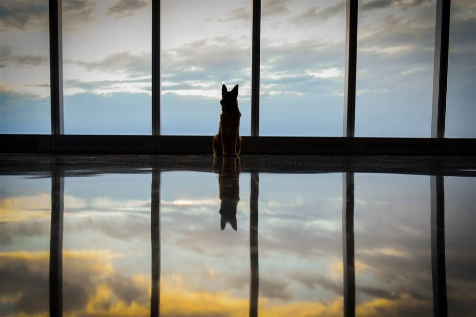 su kien trong tuan qua anh 11 182