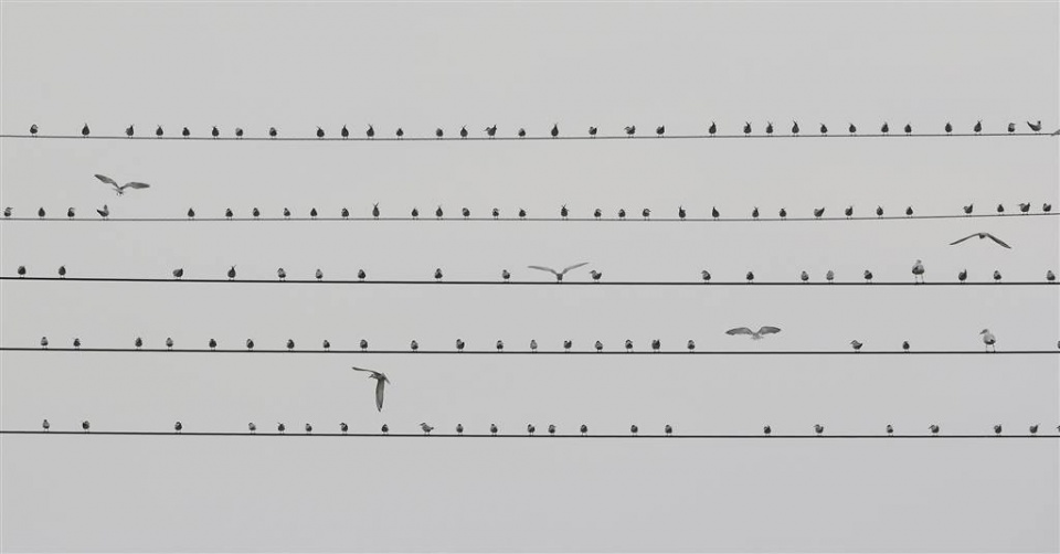 su kien trong tuan qua anh 11 182