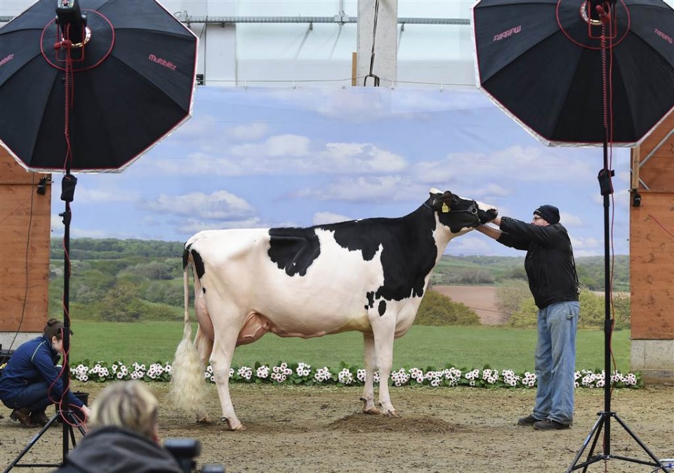 su kien trong tuan qua anh 19 262