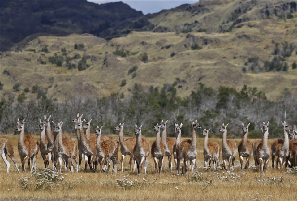 su kien trong tuan qua anh 251 42