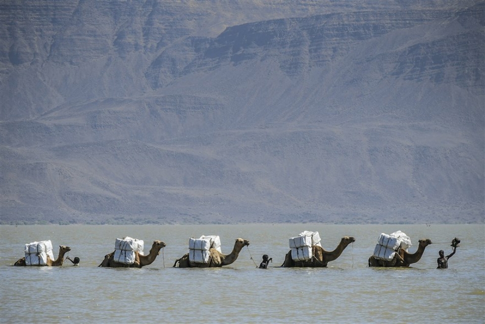 su kien trong tuan qua anh 16 2320